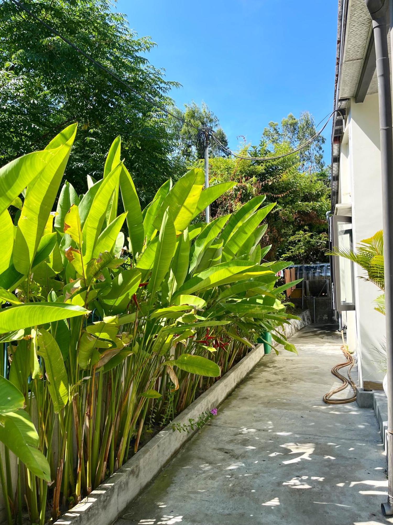 Tân Hiệ Crest House Beachside - Three-Bedroom Private House On Cham Island Hoi An מראה חיצוני תמונה